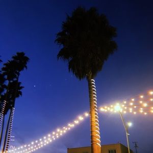 Meet your Posher, Logan